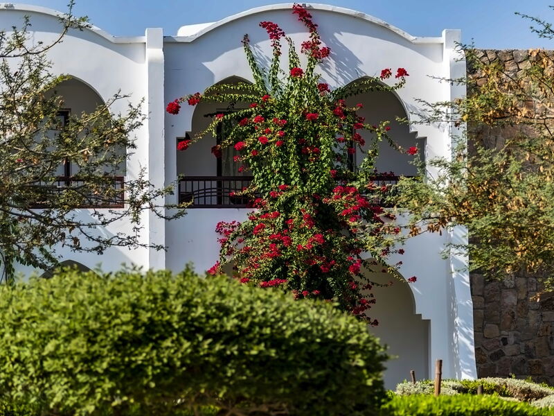 Gorgonia Beach Resort 328447