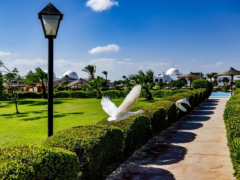 Gorgonia Beach Resort 328449