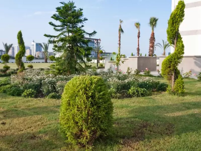 Graf Victor Boutique Hotel 278374