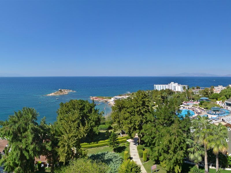 Grand Blue Sky 75502