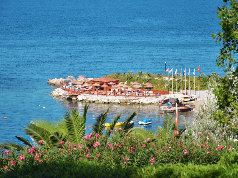 Grand Blue Sky 75505