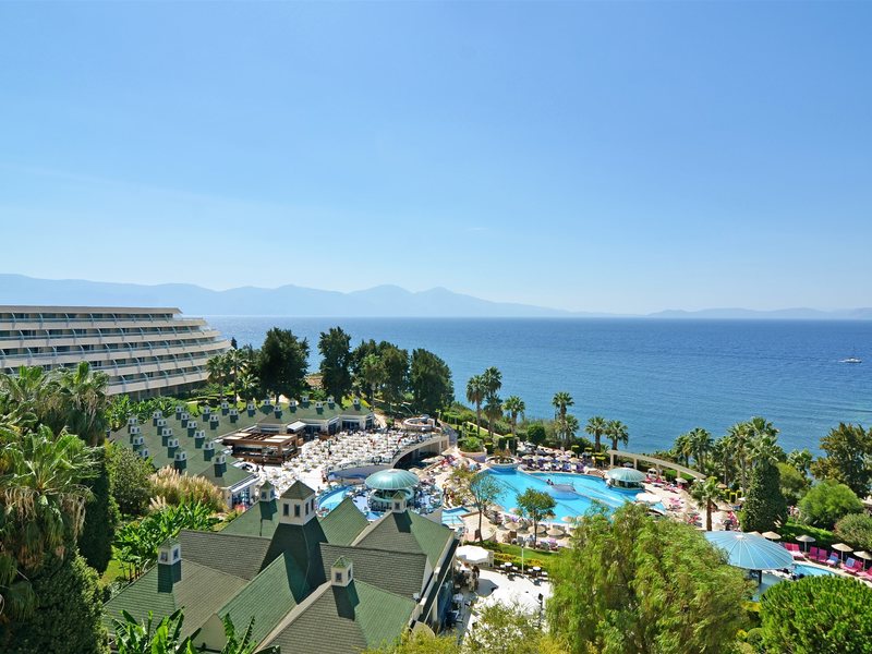 Grand Blue Sky 75506