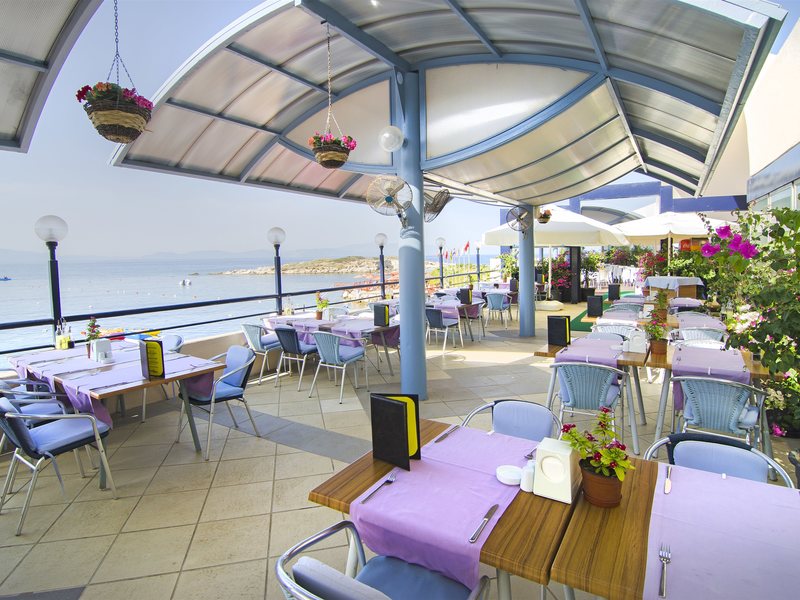 Grand Blue Sky 75507