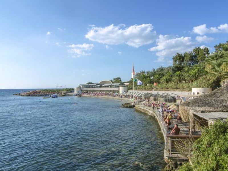 Grand Blue Sky 75532