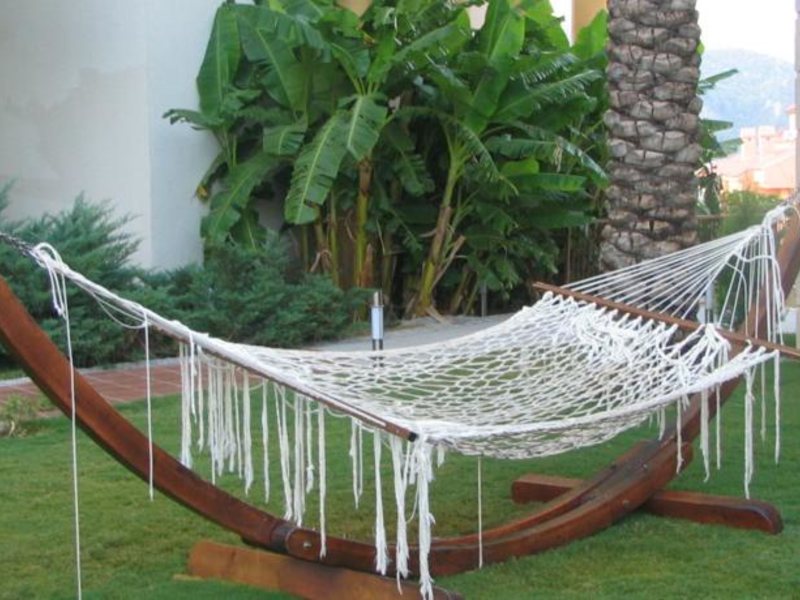 Grand Cettia Hotel 75574