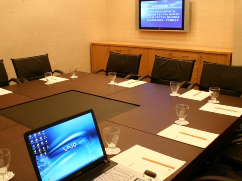 Grand Cettia Hotel 75589