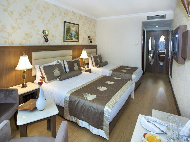 Grand Hilarium Hotel 195445