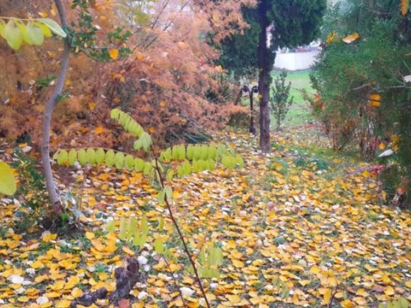 Grand Korfez Hotel 281745