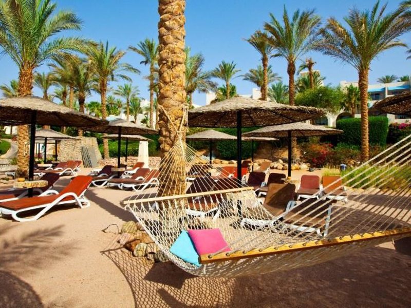 Grand Rotana Resort & SPA 36408