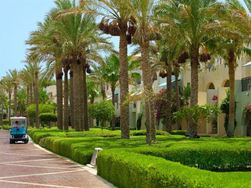 Grand Rotana Resort & SPA 36440