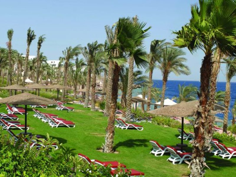 Grand Rotana Resort & SPA 36449