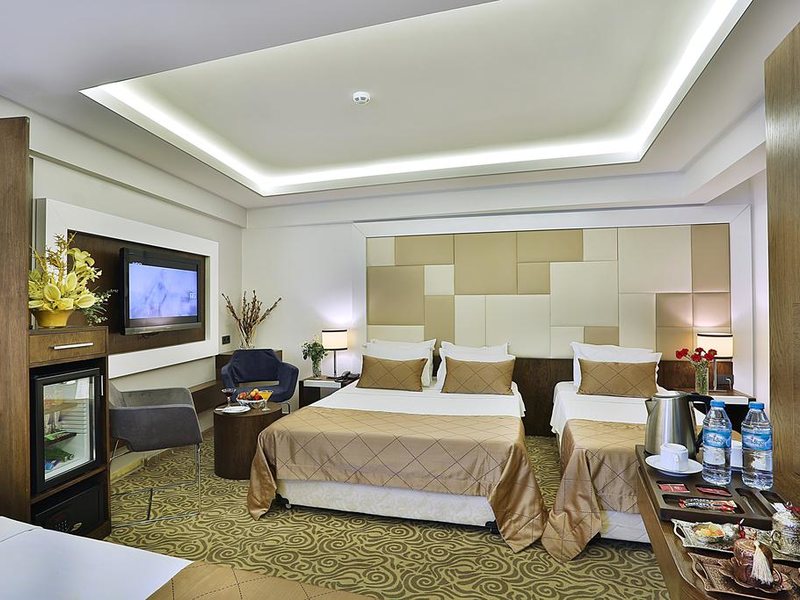 Grand Sagcanlar Hotel 271884