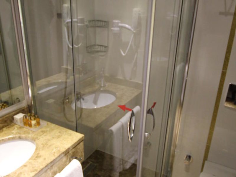 Grand Washington Hotel 77031