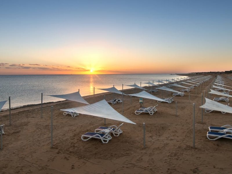 Gravity Sahl Hasheesh 285965