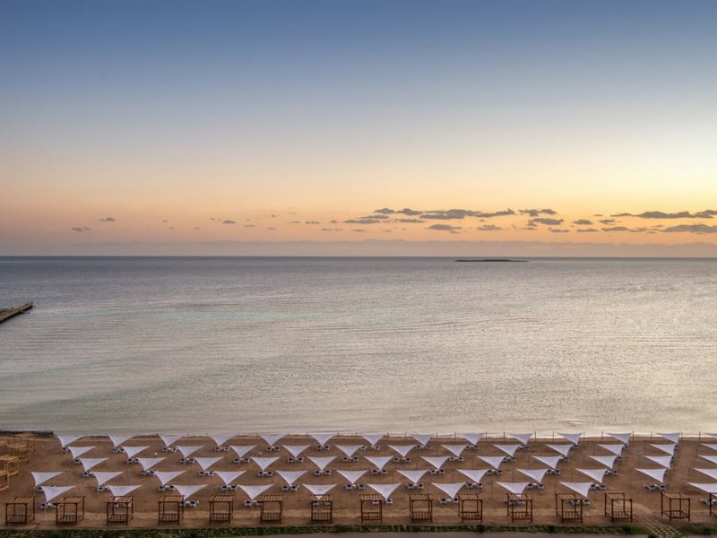 Gravity Sahl Hasheesh 285966