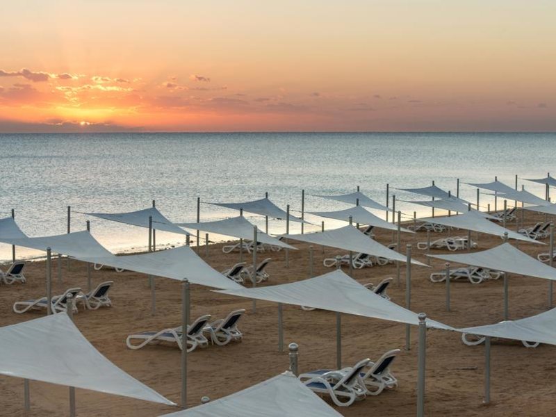 Gravity Sahl Hasheesh 293680