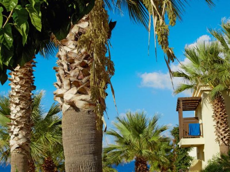 Grecotel Club Marine Palace & Marine Palace Suites 83719