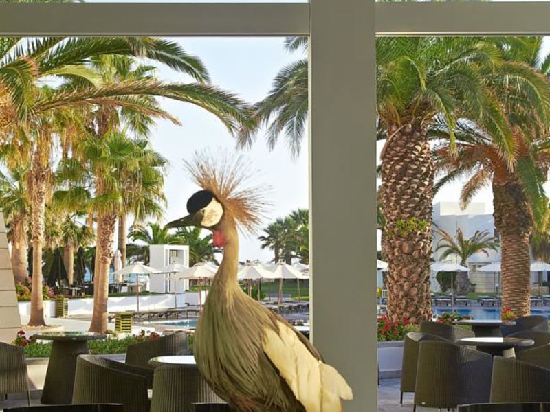 Grecotel Creta Palace 89025