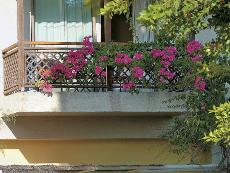 Grecotel Rhodos Royal 78986