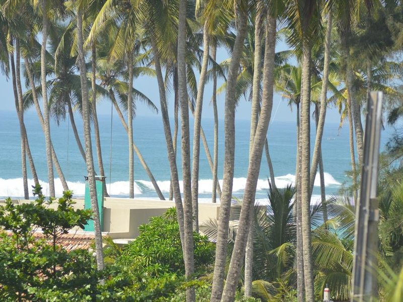 Green Almond Hotel 320788