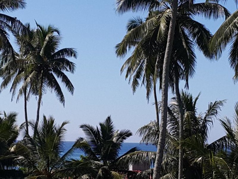 Green Almond Hotel 320792