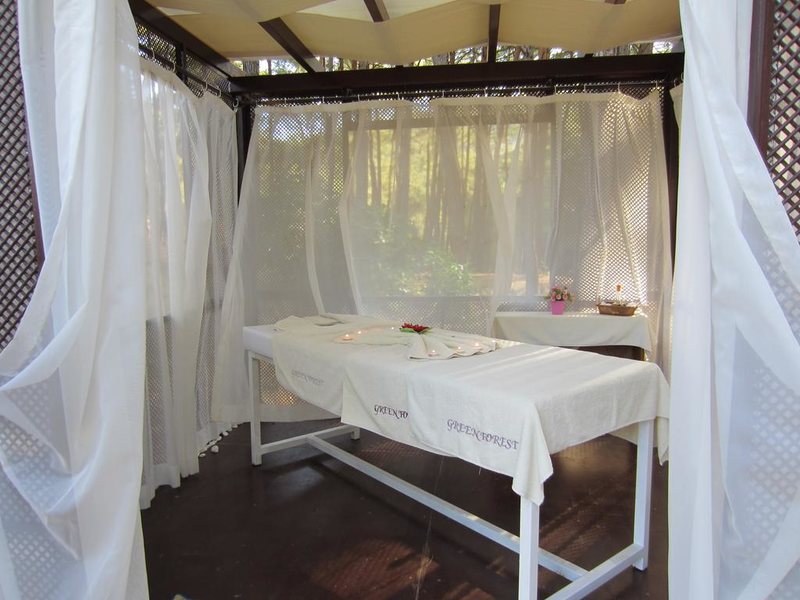 Green Forest Holiday Village  195534