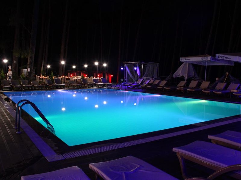 Green Forest Holiday Village  195540