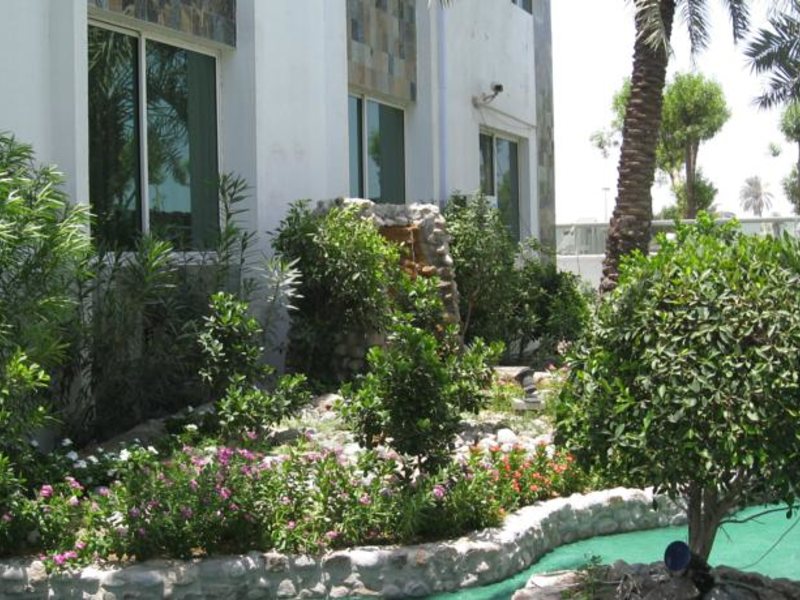 Green House Resort  54323