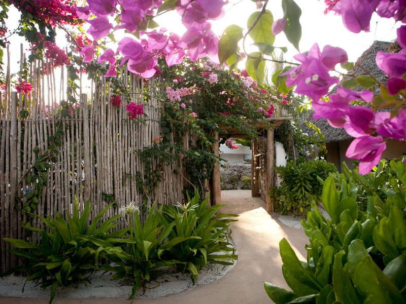 Green and Blue Ocean Lodge 229009