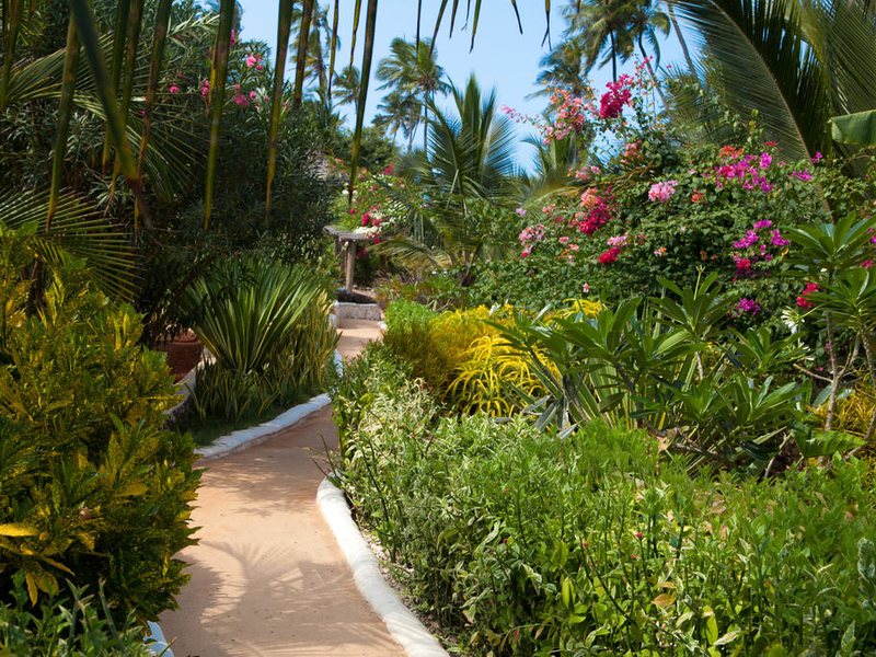 Green and Blue Ocean Lodge 229011