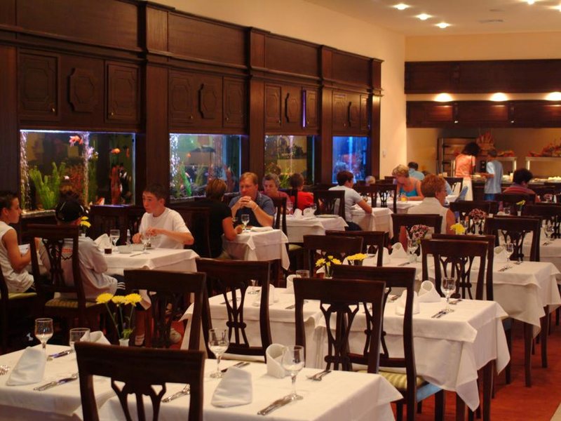 Grifid Bolero  171145