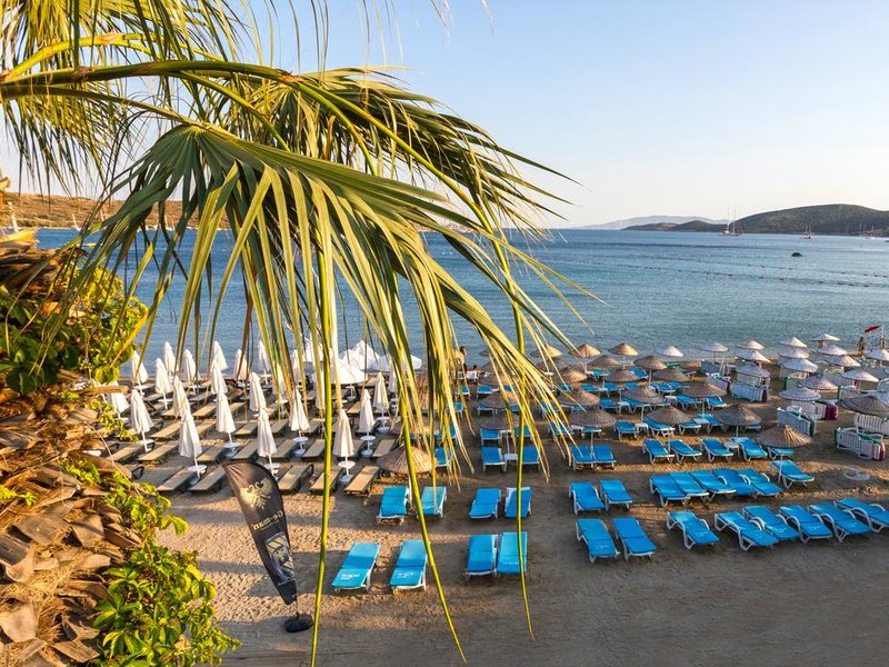 Gumbet Anil Beach Hotel 278397