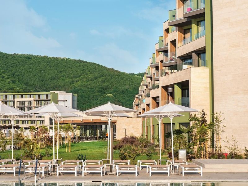 HVD Reina Del Mar 310933