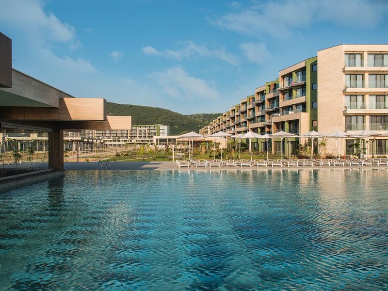 HVD Reina Del Mar 310943