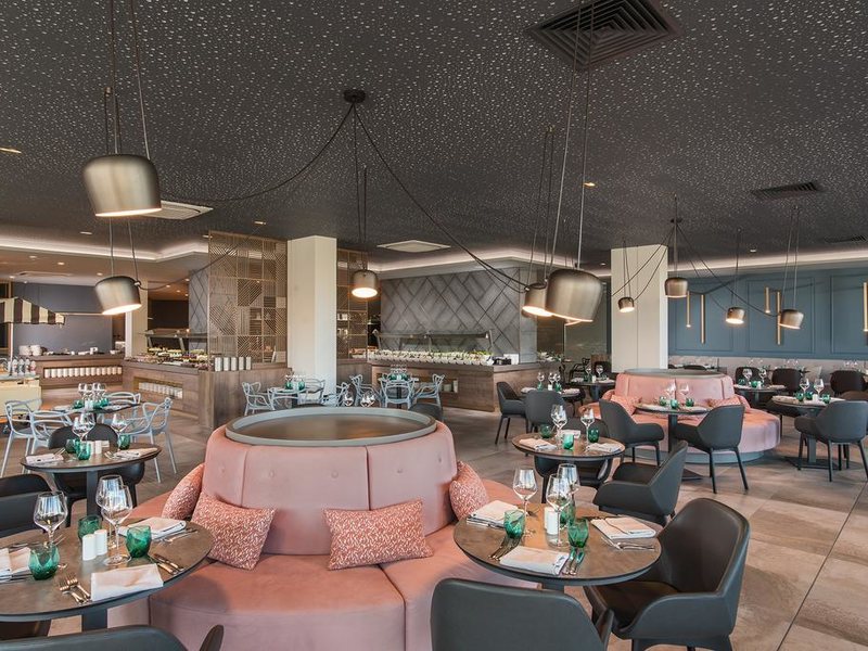 HVD Reina Del Mar 310948