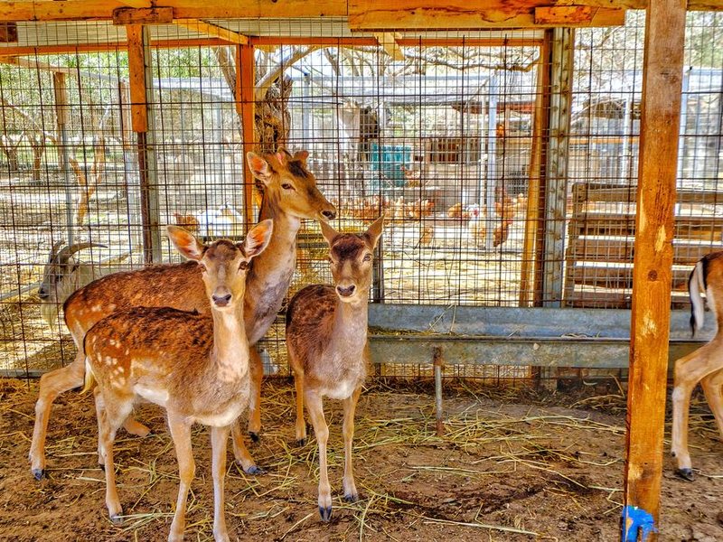 Hadjios Valley  290497