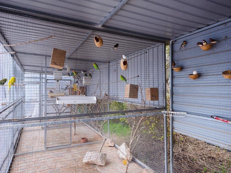 Hadjios Valley  290505