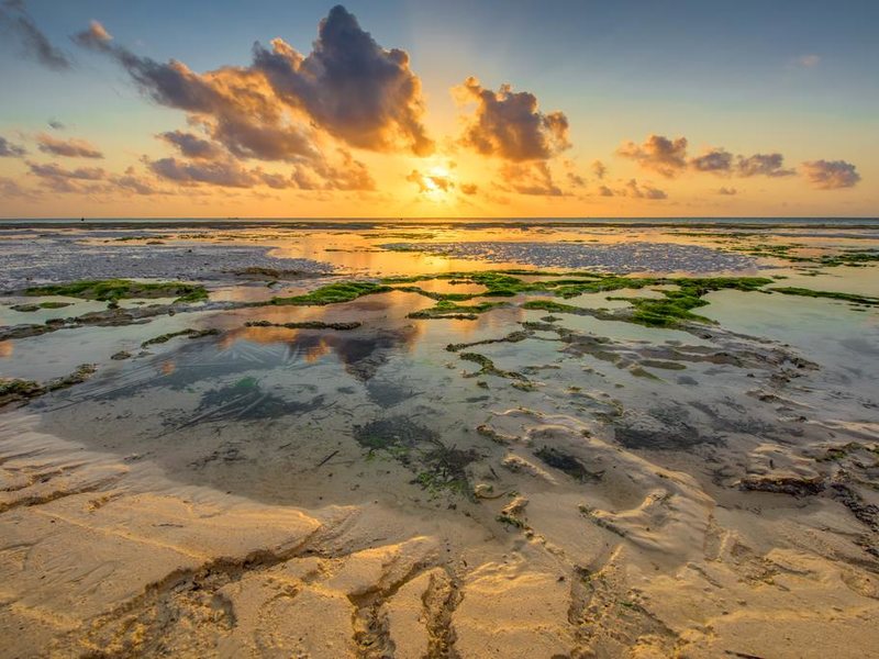 Hakuna Majiwe Beach Lodge (ex 229021