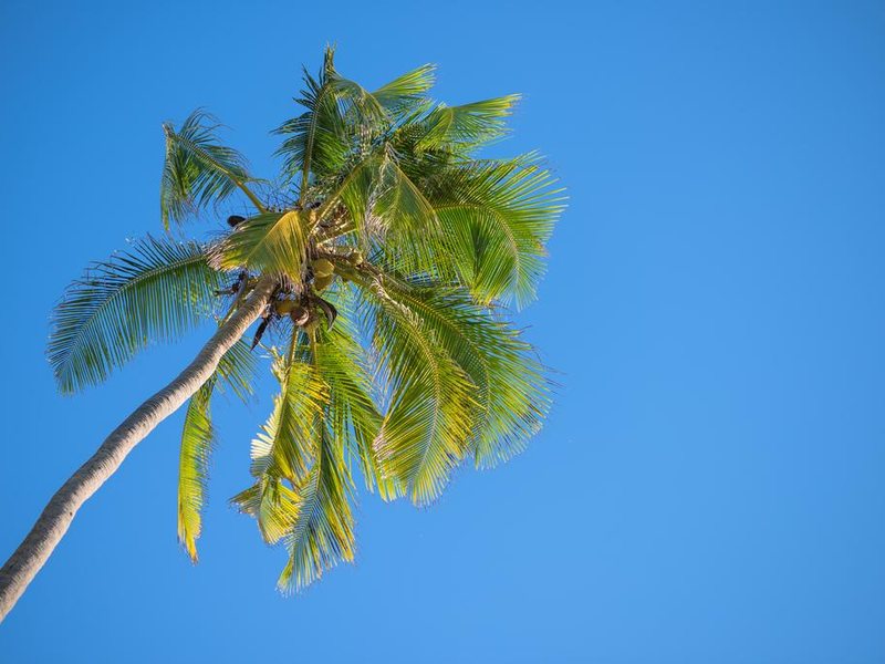 Hakuna Majiwe Beach Lodge (ex 229031