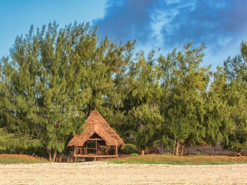 Hakuna Majiwe Beach Lodge (ex 229043