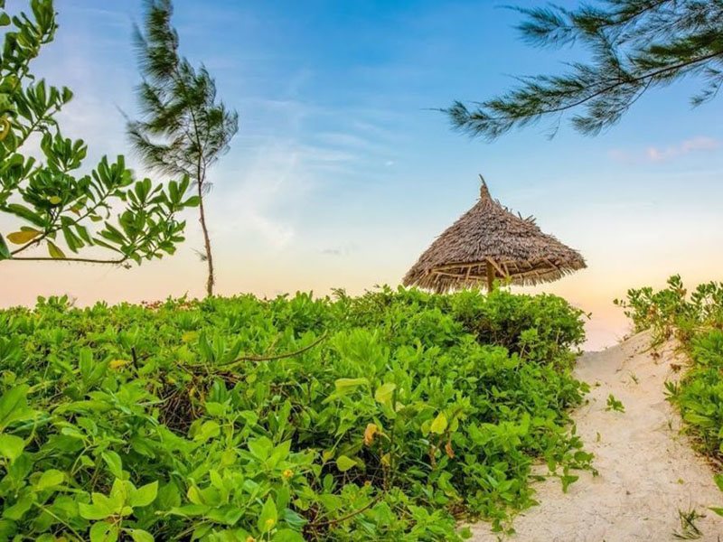 Hakuna Majiwe Beach Lodge (ex 229055