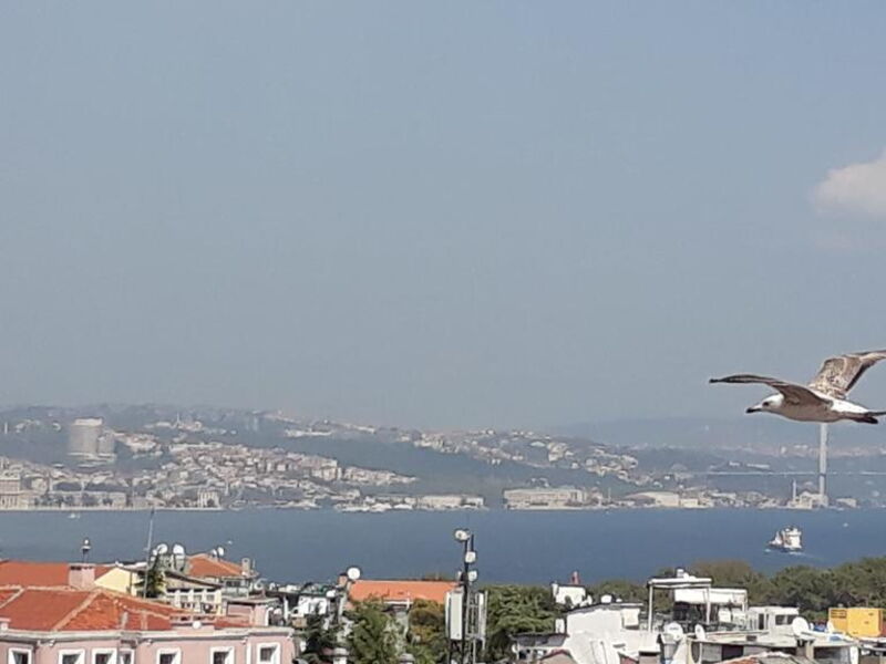 Hali Hotel  295229