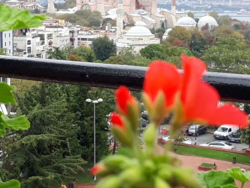 Hali Hotel  295230