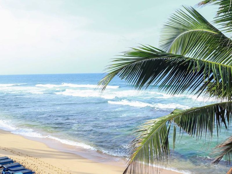 Hansa Surf Hotel (ex 296587