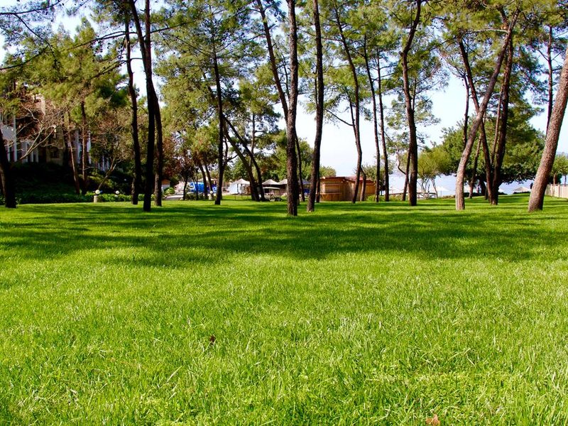 Hapimag Sea Garden Resort  295240