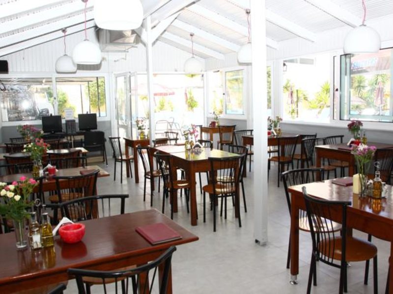 Happy Days Studios 97666