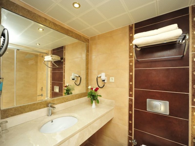 Happy Elegant Hotel  32423