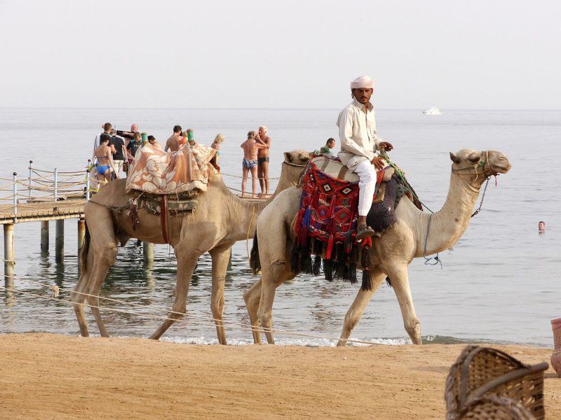 Happy Life Village Dahab 124399