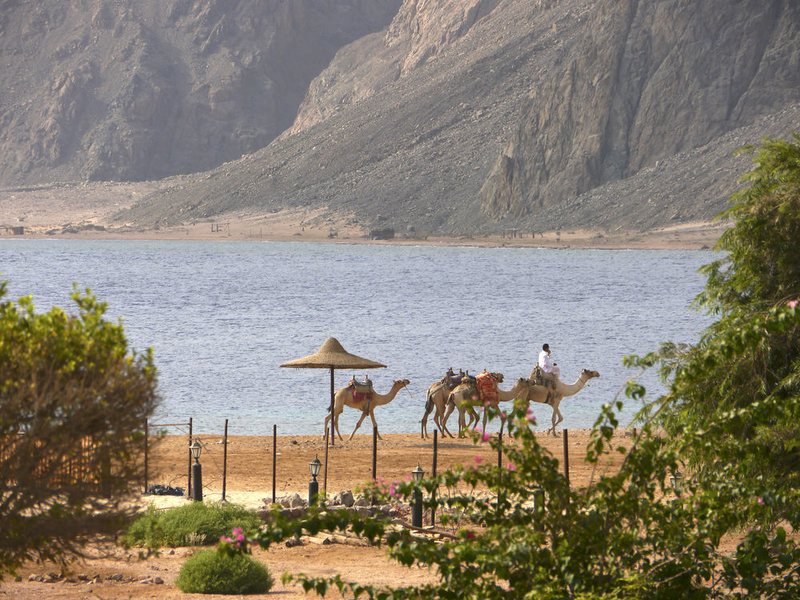 Happy Life Village Dahab 124408