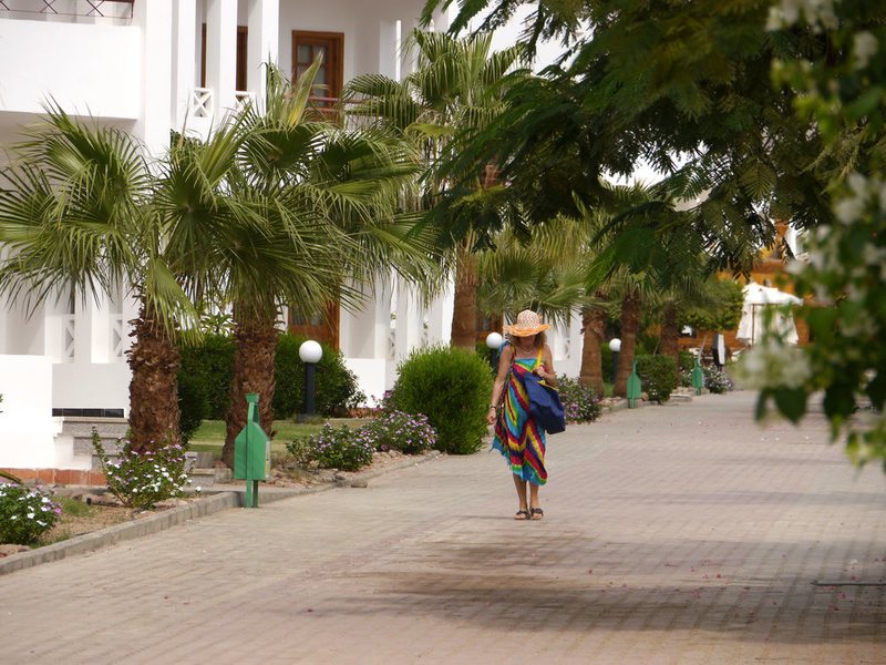 Happy Life Village Dahab 124419